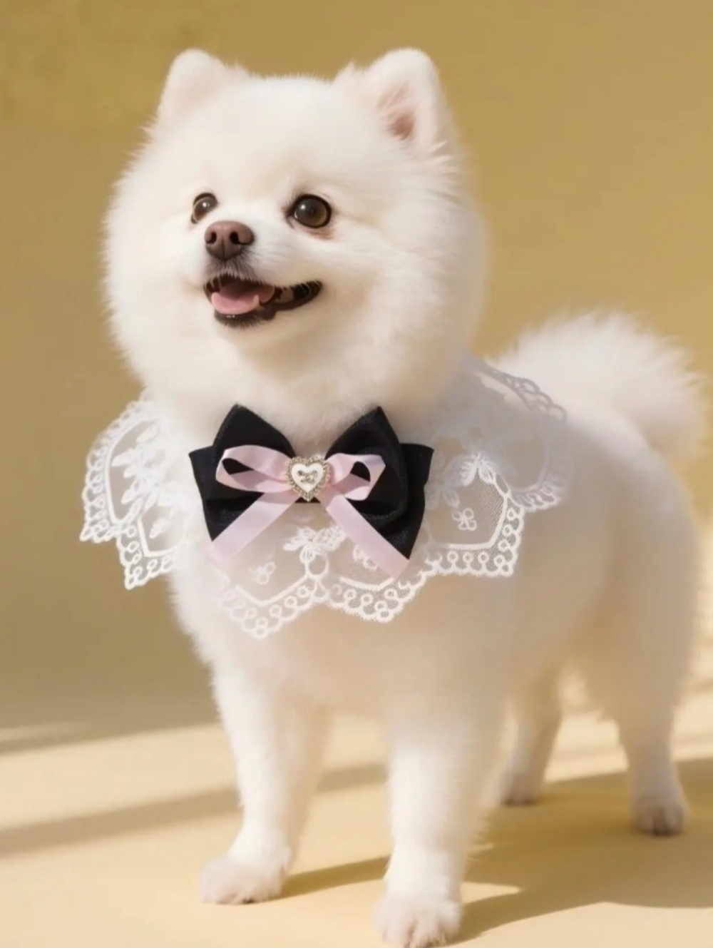 Elegant White Lace Pet Collar with Black Bow and Pink Ribbon Accent- SMALL